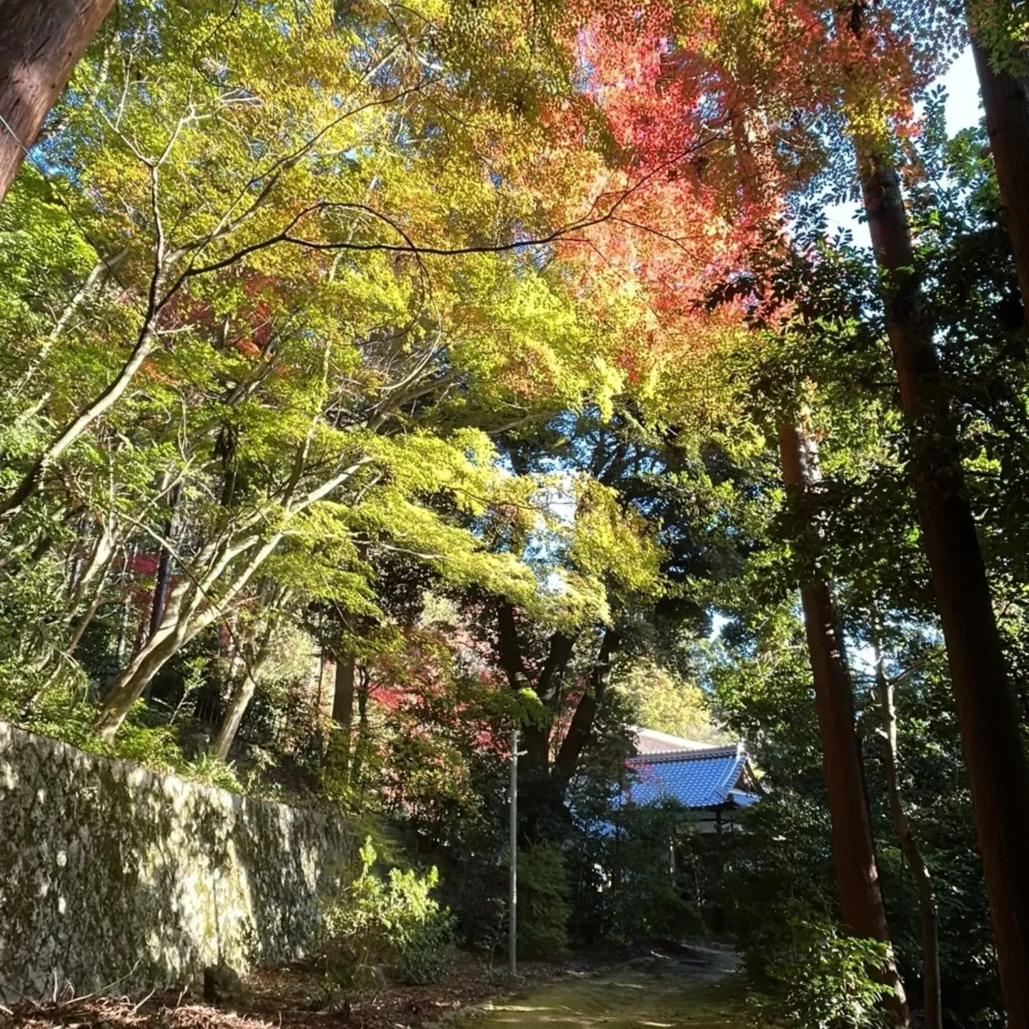 詫びさびの教林坊へ行ってきました